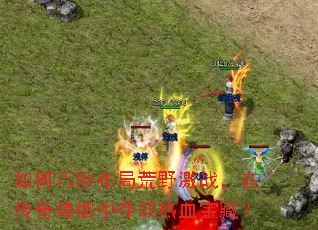 �������ֻ�Ұ��ս���ڴ�������ж�ȡ��Ѫ���أ�