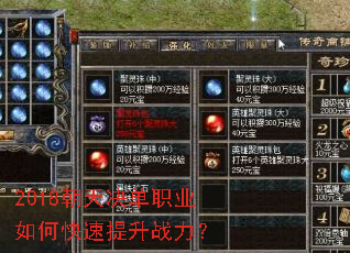 2018�������ְҵ��ο�������ս����