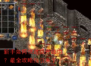 ������ο�������ս������ȫ����ָ������