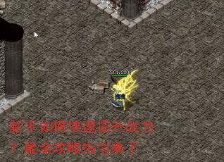 ������ο�������ս������ȫ����ָ������