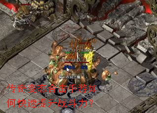 �����̬�ϻ�������ο�������ս������