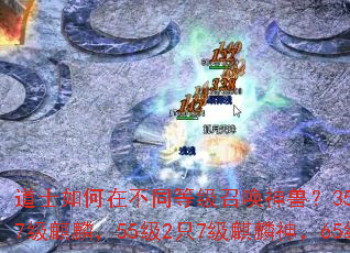 ��ʿ����ڲ�ͬ�ȼ��ٻ����ޣ�35��2ֻ7�����ޣ�50��2ֻ7�����룬55��2ֻ7��������65��2ֻ7������ʥ�ޣ�