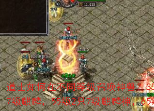 ��ʿ����ڲ�ͬ�ȼ��ٻ����ޣ�35��2ֻ7�����ޣ�50��2ֻ7�����룬55��2ֻ7��������65��2ֻ7������ʥ�ޣ�