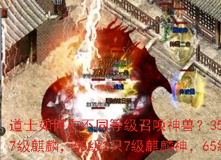 ��ʿ����ڲ�ͬ�ȼ��ٻ����ޣ�35��2ֻ7�����ޣ�50��2ֻ7�����룬55��2ֻ7��������65��2ֻ7������ʥ�ޣ�