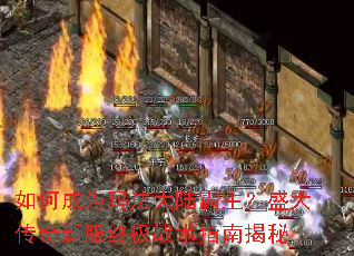 ��γ�Ϊ�귨��½������ʢ�����·��ռ�ս��ָ�Ͻ���