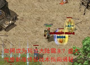 ��γ�Ϊ�귨��½������ʢ�����·��ռ�ս��ָ�Ͻ���