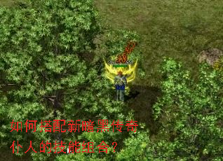 ��δ����°��ڴ������˵ļ�����ϣ�