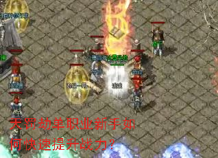�췣�ٵ�ְҵ������ο�������ս����