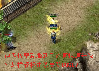 ��������·�������ο����������������ɻ�ɱ�߽�BOSS��