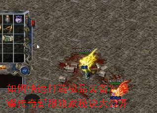 ��ο��ٴ��켫Ʒװ������ҫ�����·������ؾ��󹫿�