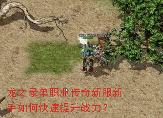 龙之录单职业传奇新服新手如何快速提升战力? 龙之录单职业传奇新服新手如何快速提升战力?