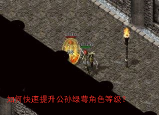 如何快速提升公孙绿萼角色等级? 如何快速提升公孙绿萼角色等级?