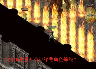 如何快速提升公孙绿萼角色等级? 如何快速提升公孙绿萼角色等级?