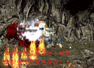 如何快速提升宠物小精灵单职业传奇角色等级? 如何快速提升宠物小精灵单职业传奇角色等级?