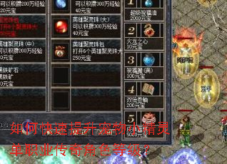 如何快速提升宠物小精灵单职业传奇角色等级? 如何快速提升宠物小精灵单职业传奇角色等级?