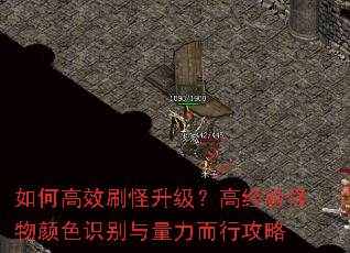 如何高效刷怪升级?高经验怪物颜色识别与量力而行攻略 如何高效刷怪升级?高经验怪物颜色识别与量力而行攻略