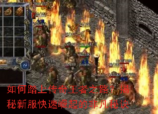 如何踏上传奇王者之路?揭秘新服快速崛起的非凡秘诀 如何踏上传奇王者之路?揭秘新服快速崛起的非凡秘诀