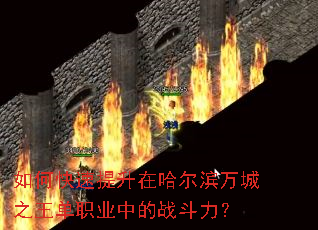 如何快速提升在哈尔滨万城之王单职业中的战斗力? 如何快速提升在哈尔滨万城之王单职业中的战斗力?