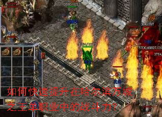 如何快速提升在哈尔滨万城之王单职业中的战斗力? 如何快速提升在哈尔滨万城之王单职业中的战斗力?