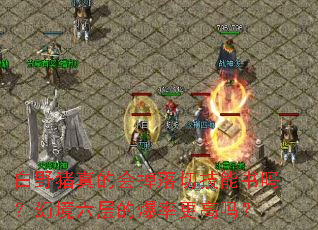白野猪真的会掉落切技能书吗?幻境六层的爆率更高吗? 白野猪真的会掉落切技能书吗?幻境六层的爆率更高吗?
