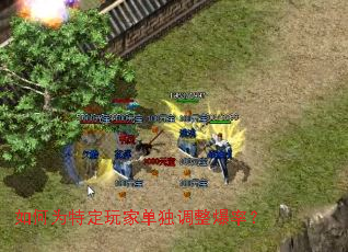 ���Ϊ�ض���ҵ����������ʣ�