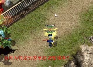 ���Ϊ�ض���ҵ����������ʣ�