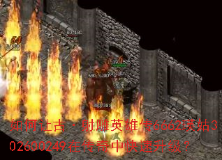 如何让古·射雕英雄传6662瑛姑302600249在传奇中快速升级? 如何让古·射雕英雄传6662瑛姑302600249在传奇中快速升级?