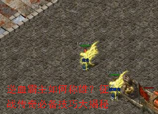逆血霸主如何称雄?征战传奇必备技巧大揭秘 逆血霸主如何称雄?征战传奇必备技巧大揭秘