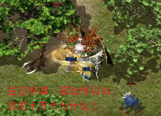 逆觅奇谭:征战传说仙途的十万个为什么? 逆觅奇谭:征战传说仙途的十万个为什么?