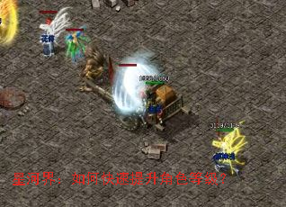�Ǻӽ磺��ο���������ɫ�ȼ���