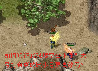 如何验证游戏爆率公平性?大号打金真的比小号更高效吗? 如何验证游戏爆率公平性?大号打金真的比小号更高效吗?