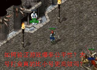 如何验证游戏爆率公平性?大号打金真的比小号更高效吗? 如何验证游戏爆率公平性?大号打金真的比小号更高效吗?