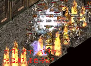 如何在大主宰新服中快速提升角色等级? 如何在大主宰新服中快速提升角色等级?
