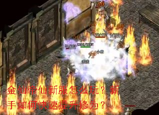 金仙帝仙新服怎么玩?新手如何快速提升修为? 金仙帝仙新服怎么玩?新手如何快速提升修为?
