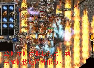 金仙帝仙新服怎么玩?新手如何快速提升修为? 金仙帝仙新服怎么玩?新手如何快速提升修为?