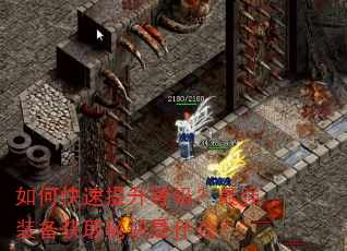 如何快速提升等级?最强装备获取秘诀是什么? 如何快速提升等级?最强装备获取秘诀是什么?
