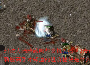玛法大陆暗藏哪些玄机?盛世3传奇新服高手才知道的进阶秘诀是什么? 玛法大陆暗藏哪些玄机?盛世3传奇新服高手才知道的进阶秘诀是什么?