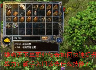 雄霸天下单职业传奇如何快速提升战力?新手入门该选什么技能? 雄霸天下单职业传奇如何快速提升战力?新手入门该选什么技能?