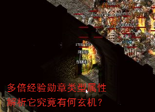 �౶����ѫ���������Խ����������к�������