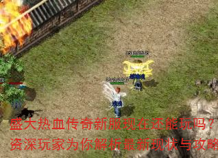 盛大热血传奇新服现在还能玩吗?资深玩家为你解析最新现状与攻略 盛大热血传奇新服现在还能玩吗?资深玩家为你解析最新现状与攻略