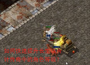如何快速提升长生诀合计传奇中的角色等级? 如何快速提升长生诀合计传奇中的角色等级?