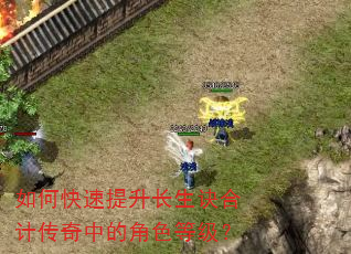 如何快速提升长生诀合计传奇中的角色等级? 如何快速提升长生诀合计传奇中的角色等级?