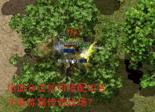 热血合击如何搭配组合才能称霸传奇战场? 热血合击如何搭配组合才能称霸传奇战场?