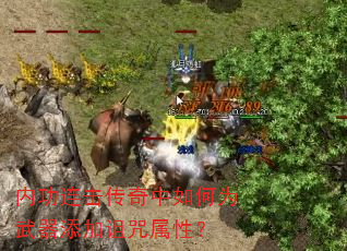 内功连击传奇中如何为武器添加诅咒属性? 内功连击传奇中如何为武器添加诅咒属性?