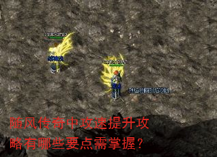 ��紫���й���������������ЩҪ�������գ�