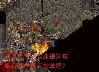 ��紫���й���������������ЩҪ�������գ�