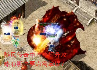 ��紫���й���������������ЩҪ�������գ�