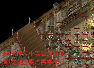 ��紫���й���������������ЩҪ�������գ�