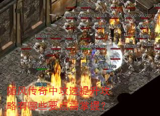 ��紫���й���������������ЩҪ�������գ�