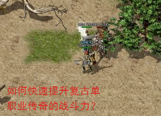 如何快速提升复古单职业传奇的战斗力? 如何快速提升复古单职业传奇的战斗力?